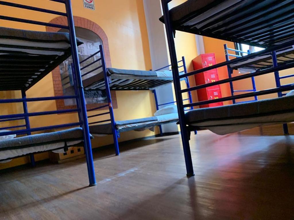 Amigo Hostel